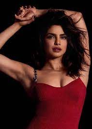 Priyanka Chopra Jonas Hot Pics