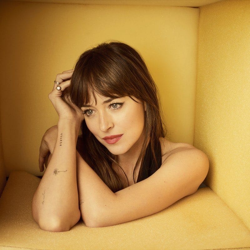 Dakota Johnson Hot Pics
